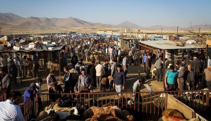 بازار فروش دام در آستانه عیدقربان - همدان. تصاویر