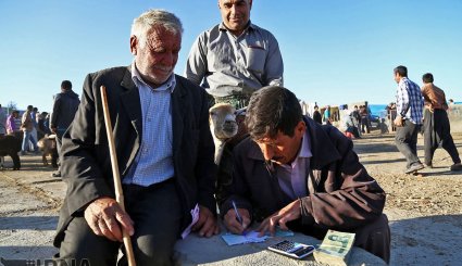 عرضه دام به مناسبت عید قربان در بجنورد و مشهد/ تصاویر