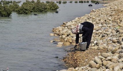 آلودگی نفتی در سواحل ماهشهر