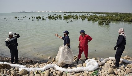 آلودگی نفتی در سواحل ماهشهر