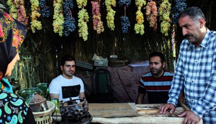پنجمین جشنواره انگور ارومیه
