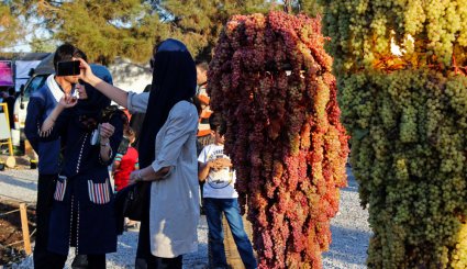 پنجمین جشنواره انگور ارومیه
