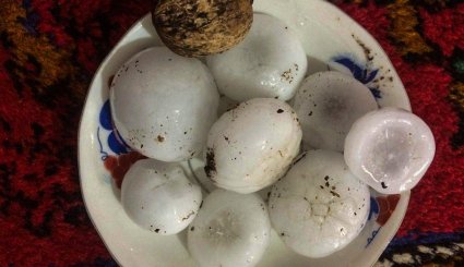 بارش تگرگ به اندازه گردو در اهر
