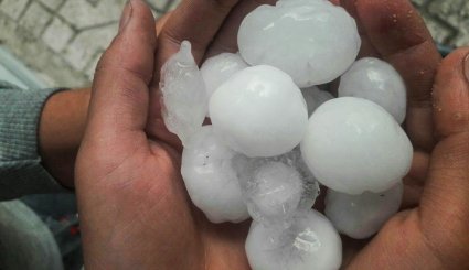 بارش تگرگ به اندازه گردو در اهر
