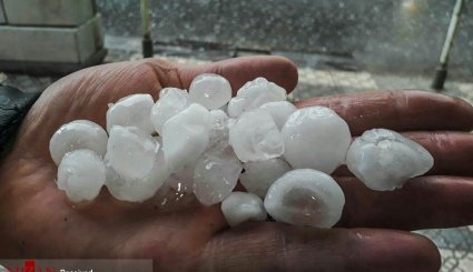 بارش تگرگ به اندازه گردو در اهر
