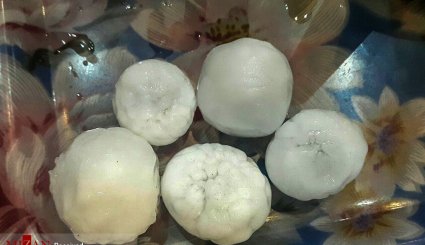 بارش تگرگ به اندازه گردو در اهر
