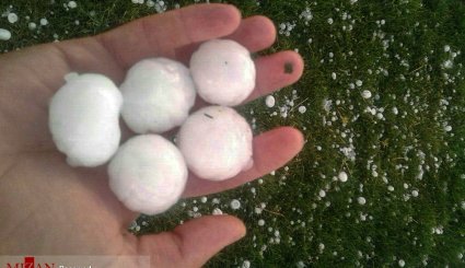 بارش تگرگ به اندازه گردو در اهر
