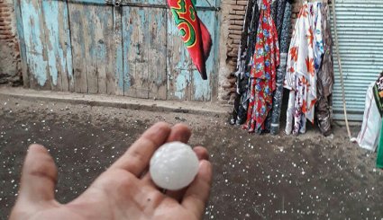 بارش تگرگ به اندازه گردو در اهر
