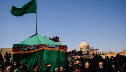نخل گردانی در روستاهای زارچ و اشکذر