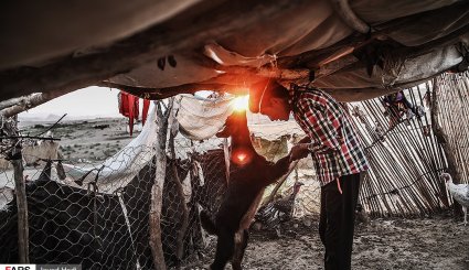 زندگی عشایر در خراسان شمالی