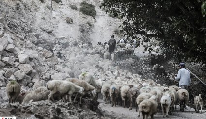 زندگی عشایر در خراسان شمالی