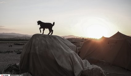 زندگی عشایر در خراسان شمالی