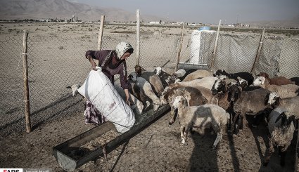 زندگی عشایر در خراسان شمالی