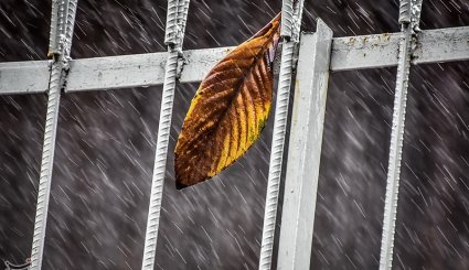 بارش شدید باران در رشت + تصاویر
