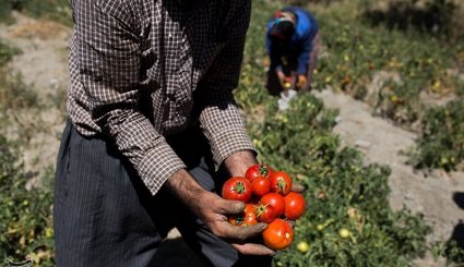 صنایع دستی و کشاورزی خراسان شمالی
