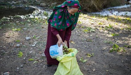 صنایع دستی و کشاورزی خراسان شمالی
