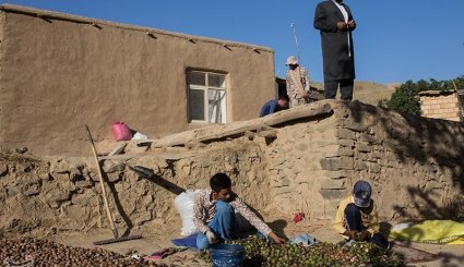 صنایع دستی و کشاورزی خراسان شمالی
