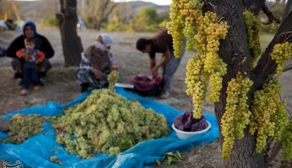صنایع دستی و کشاورزی خراسان شمالی
