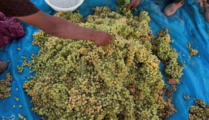 صنایع دستی و کشاورزی خراسان شمالی
