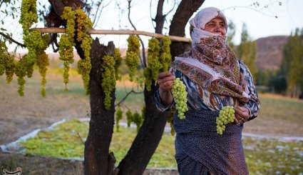 صنایع دستی و کشاورزی خراسان شمالی
