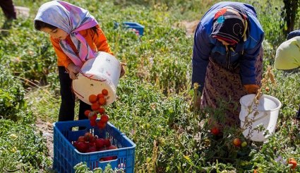 صنایع دستی و کشاورزی خراسان شمالی
