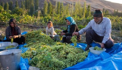 صنایع دستی و کشاورزی خراسان شمالی
