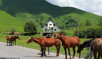 گرجستان مقصد گردشگران + تصاویر