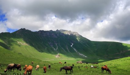 گرجستان مقصد گردشگران + تصاویر