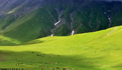 گرجستان مقصد گردشگران + تصاویر