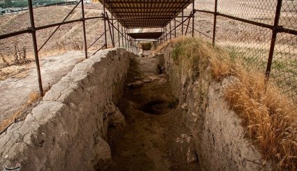 سایت موزه گوهرتپه