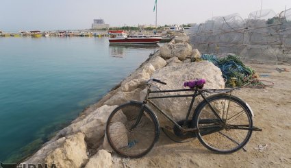 گرگور قفسی برای صید ماهی
