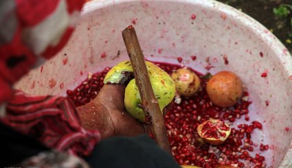سور یاقوت سرخ در انارستان های هورامان