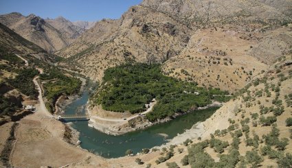 سور یاقوت سرخ در انارستان های هورامان