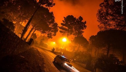 آتش سوزی مرگبار در پرتغال