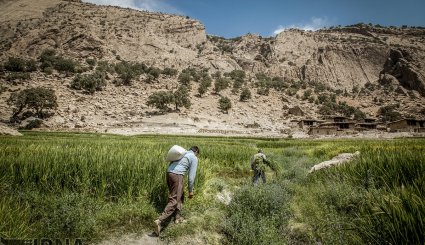 کهگیلویه و بویراحمد ظرفیتی برای گردشگری