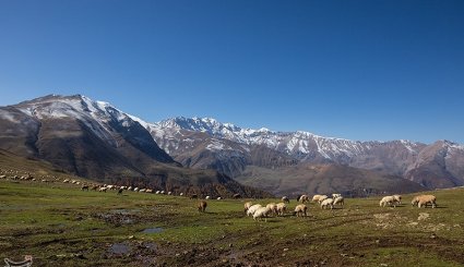 طبیعت ارتفاعات مازیچال