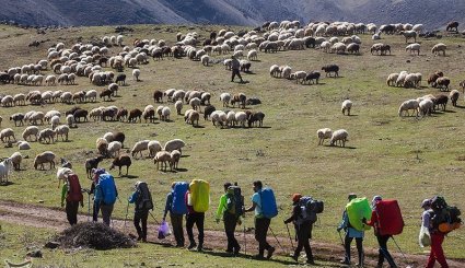 طبیعت ارتفاعات مازیچال