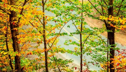 طبیعت پاییزی جاده اسالم به خلخال
