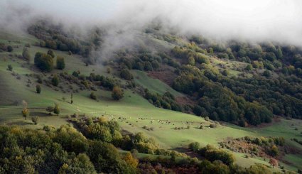 طبیعت پاییزی بره سر رودبار