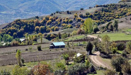 طبیعت پاییزی بره سر رودبار