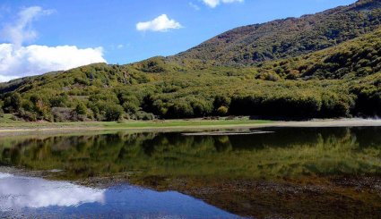 طبیعت پاییزی بره سر رودبار