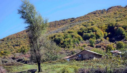 طبیعت پاییزی بره سر رودبار