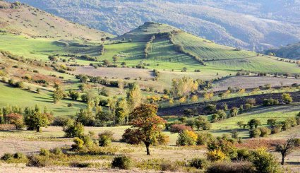 طبیعت پاییزی بره سر رودبار