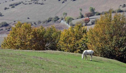 طبیعت پاییزی بره سر رودبار