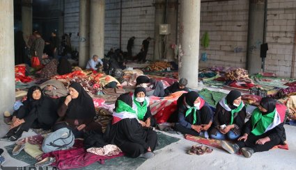 زائرین اربعین حسینی در نجف اشرف + تصاویر