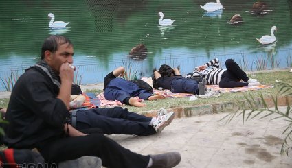 زائران اربعین در شهر کوت عراق + تصاویر
