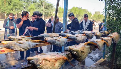 پذیرایی از زائران پیاده کربلا