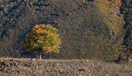 طبیعت پاییزی منطقه ارسباران
