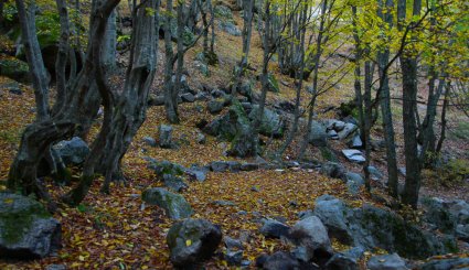طبیعت پاییزی منطقه ارسباران
