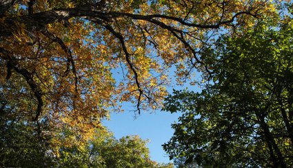 طبیعت پاییزی منطقه ارسباران
